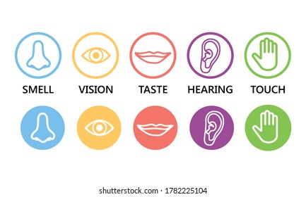 Icon set of five human senses: vision (eye), smell (nose), hearing (ear), touch (hand), taste (mouth ). Simple line icons and color circles, vector illustration.