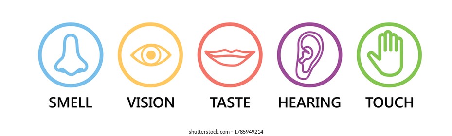 Icon set of five human senses: vision (eye), smell (nose), hearing (ear), touch (hand), taste (mouth ). Simple line icons and color circles, vector illustration.