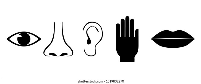 Icon set of five human senses. Vision, smell, hearing, touch, taste or illustration symbol of eye, nose, ear, hand, mouth, simple flat vector illustration design