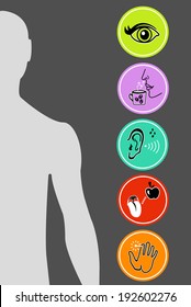 Icon Set of Five Human Senses Diagram