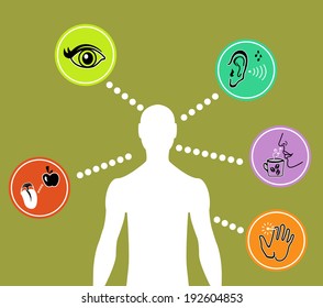 Icon Set Of Five Human Senses Diagram