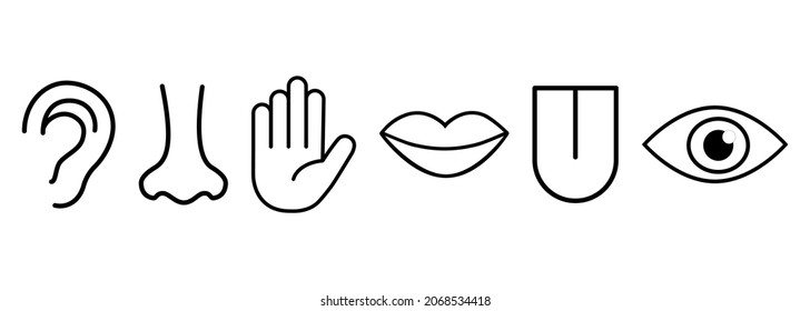 Icon set of the five human senses: vision (eye), smell (nose), hearing (ear), touch (hand), taste (mouth with tongue). Simple, minimal line icons vector illustration.