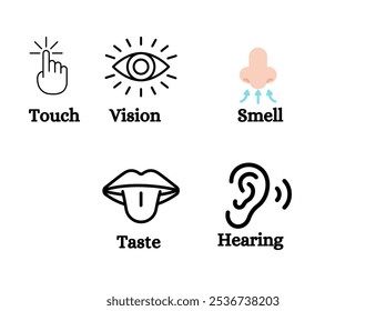 Icon Set of Five Human Senses: Vision, Smell, Hearing, Touch, and Taste Anatomy Illustration
