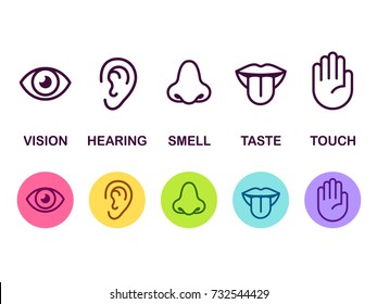 Набор иконок из пяти человеческих чувств: зрение (глаз), запах (нос), слух (ухо), прикосновение (рука), вкус (рот с языком). Простые линии иконок и цветовые круги, векторная иллюстрация.