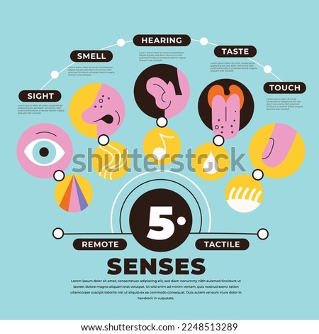 Icon set of five human senses: vision (eye), smell (nose), hearing (ear), touch (hand), taste (mouth with tongue). vector illustration. Foto d'archivio © 