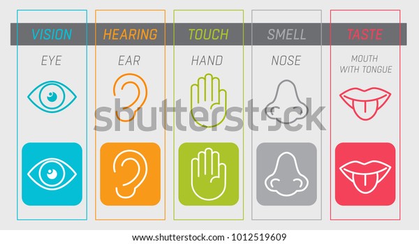人間の五感 目 におい 鼻 聴覚 耳 触 手 味 舌 のアイコンセット ベクターイラスト のベクター画像素材 ロイヤリティフリー