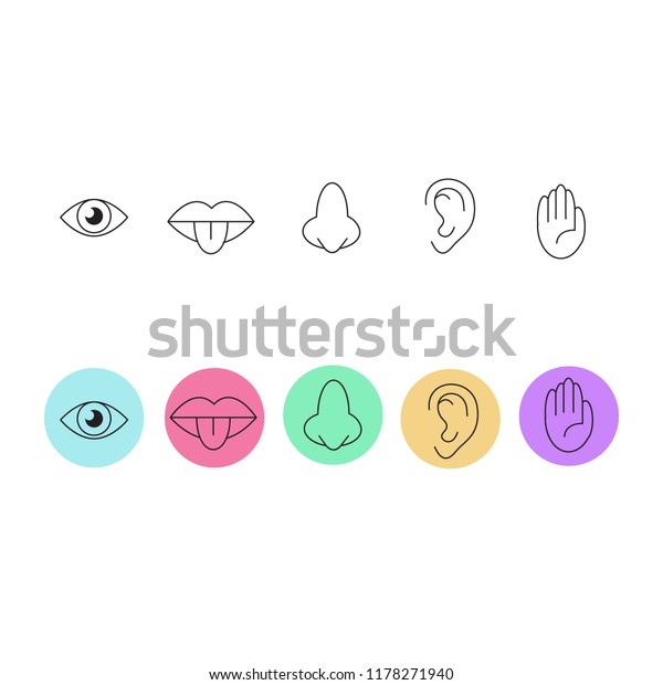 Icon Set Five Human Senses Stock Vector (Royalty Free) 1178271940 ...