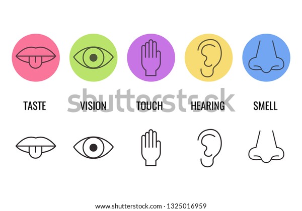 Icon Set Five Human Senses Simple Stock Vector (Royalty Free ...