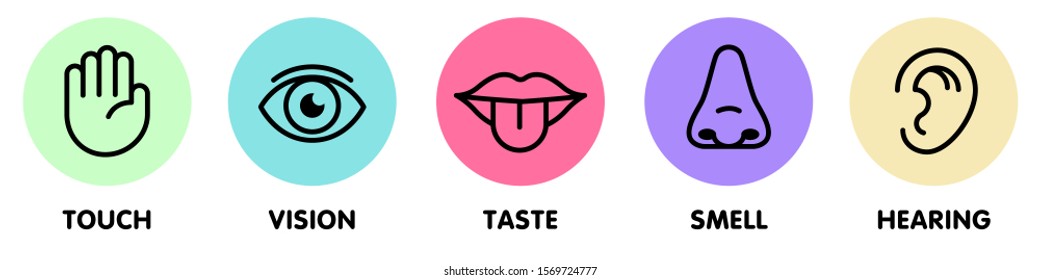 Icon set of five human senses.Vision eye, smell nose, hearing ear, touch hand, taste mouth with tongue. Isolated vector illustration. Poster, banner, web design. Medical reference. Body anatomy study.