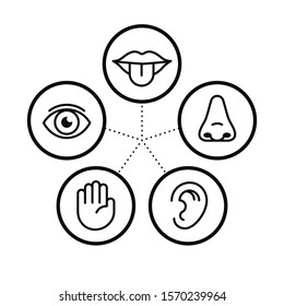 Icon set of five human senses.Vision eye, smell nose, hearing ear, touch hand, taste mouth with tongue. Isolated vector illustration. Poster, banner, web design. Medical reference. Body anatomy study.