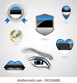 Icon set with flag of Estonia