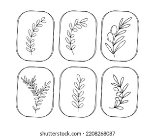 Icon Set of Floral Illustrations on a white background 