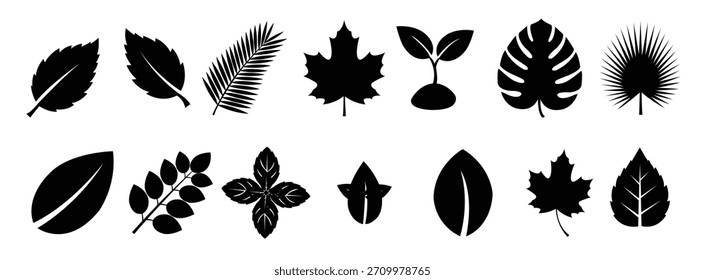 Conjunto de iconos de hojas verdes de diferentes plantas y árboles 