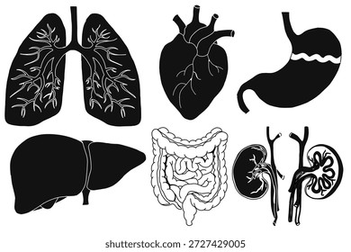 ícone conjunto de órgãos humanos. Conjunto de ícones de glifo de anatomia. Pictogramas vetoriais de órgãos do corpo, consistindo em coração, estômago, intestinos, pulmões, fígado e rins