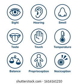 Icon set of human senses of perception. Sight, smell, hearing, touch, taste and sense of balance, temperature, body and pain. Simple, minimal line icons vector illustration.