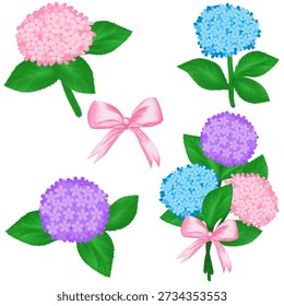 Icon set of hydrangea flowers  (Hydrangea macrophylla) 
