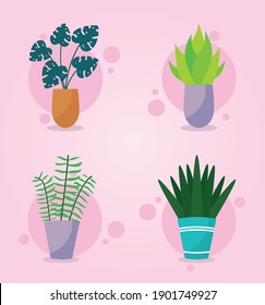 conjunto de iconos de plantas interiores sobre fondo rosa, diseño colorido, ilustración vectorial