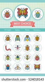 icon set insect vector