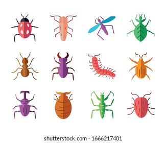 icon set of insects concept over white background, flat style, vector illustration