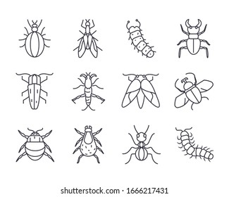 Symbol-Set von Insekten-Konzept auf weißem Hintergrund, Zeilendetaillanz, Vektorillustration