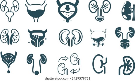 Icon set kidney isolated, illustration vector,
