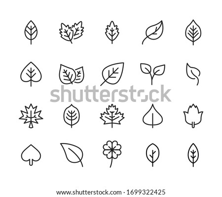 Icon set of leaf. Editable vector pictograms isolated on a white background. Trendy outline symbols for mobile apps and website design. Premium pack of icons in trendy line style.