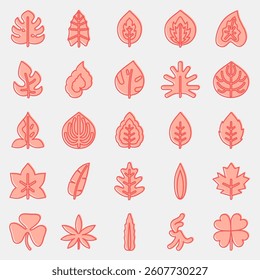Icon set of leaves. Plant leaves elements. Icon in two tone style.