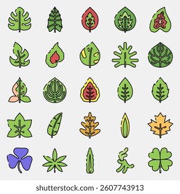 Icon set of leaves. Plant leaves elements. Icon in filled line style.