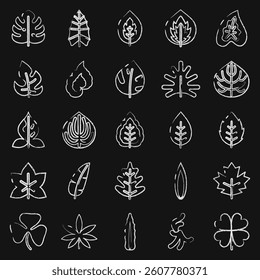 Icon set of leaves. Plant leaves elements. Icon in chalk style.