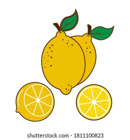 Icon set lemon, vector illustration on white background