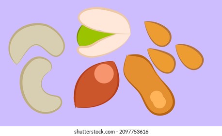 icon set of many types of nuts on pale purple background vector illustration