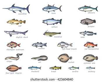 Icon set of marketable fish, hand drawn style