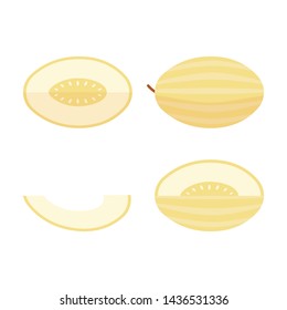 Icon set of melon cantaloupe, vector illustration flat style