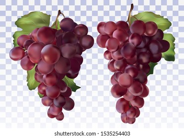 Icon set red grapes. Fresh red grapes on transparent background. Table grapes. 3D realistic fruit Wine grapes. Vector illustration