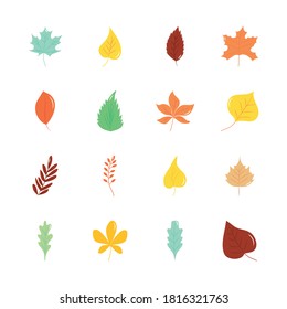 icon set of rowan leaf and autumn leaves over white background, flat style, vector illustration