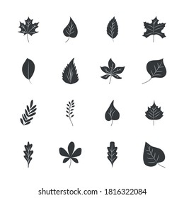 icon set of rowan leaf and autumn leaves over white background, silhouette style, vector illustration