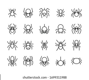 Icon set of spider. Editable vector pictograms isolated on a white background. Trendy outline symbols for mobile apps and website design. Premium pack of icons in trendy line style.