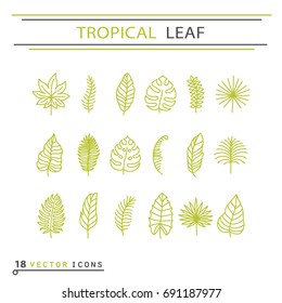 Icon Set - Tropical Leaf. EPS 10 Isolated Object