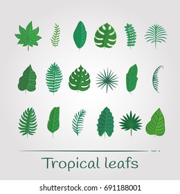 Icon set - tropical leaf. EPS 10 Isolated object