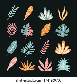Icon set of tropical leaves and shapes. Abstract elements are suitable for themed decor.