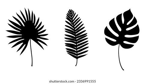 Icon set of Tropical leaves silhouette. Vector illustration