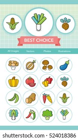 icon set vegetable vector