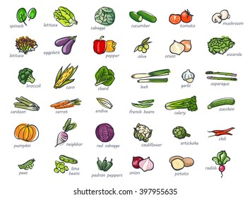 Icon set of vegetables, hand drawn style