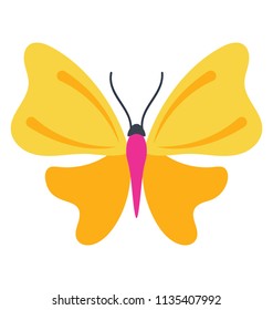 
An icon showing butterfly having patterns like a firefly in it, designed to offer firefly butterfly icon

