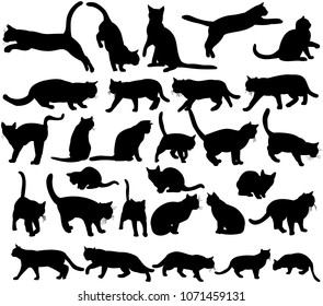  icon, silhouette cat, set, collection