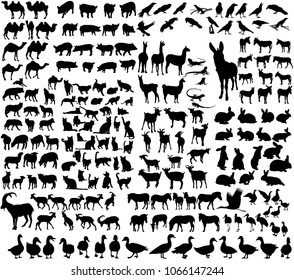  icon silhouette home and wild animals, set, collection