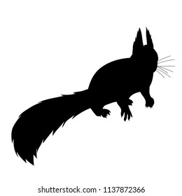  icon, silhouette squirrel