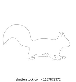 icon, sketch, outline of squirrel