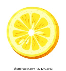 Icon of slice of lemon against white background Vector illustration of round shaped slice of fresh ripe yellow lemon isolated against white background