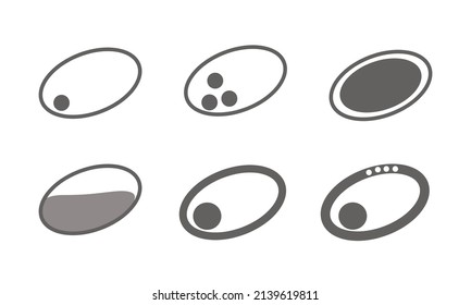 Icon Of Sonographic Finding Of Gallbladder And Gallstone Pathology